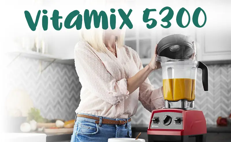 vitamix 5300 at costco