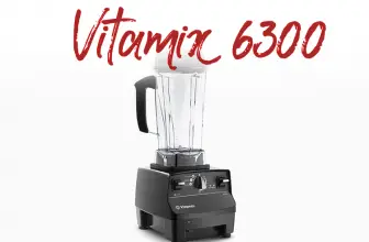 Vitamix 6300 Costco Review